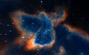 Документальная программа. Февраль, 2026