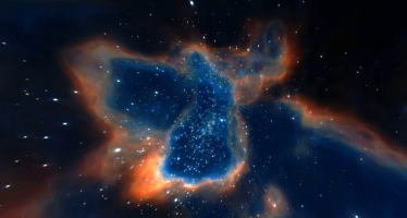 Документальная программа. Февраль, 2026